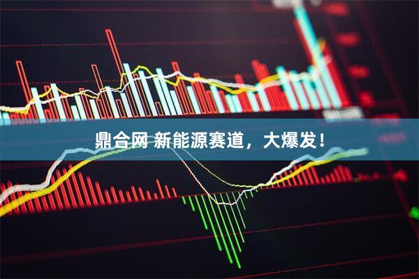 鼎合网 新能源赛道，大爆发！