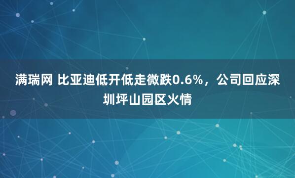 满瑞网 比亚迪低开低走微跌0.6%，公司回应深圳坪山园区火情