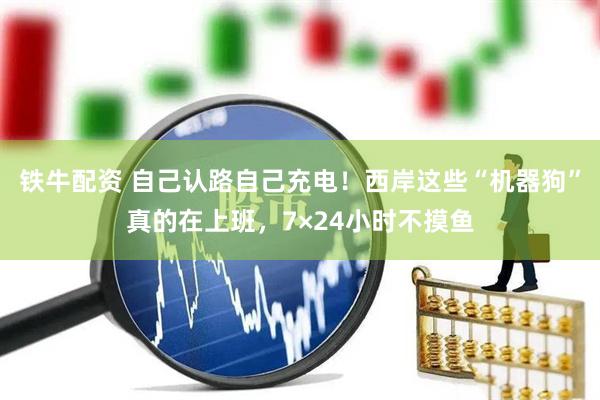 铁牛配资 自己认路自己充电！西岸这些“机器狗”真的在上班，7×24小时不摸鱼