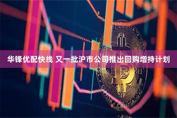 华锋优配快线 又一批沪市公司推出回购增持计划